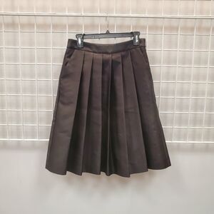 Ann Taylor Skirt